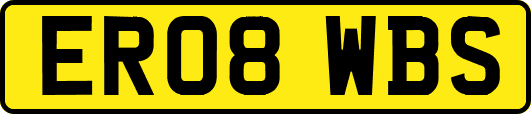 ER08WBS