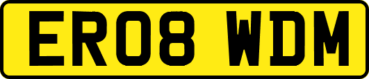 ER08WDM