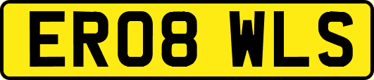 ER08WLS