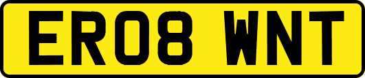 ER08WNT