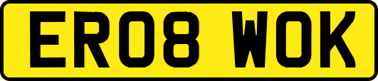ER08WOK