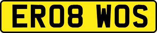 ER08WOS