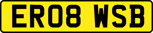 ER08WSB