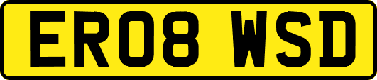 ER08WSD