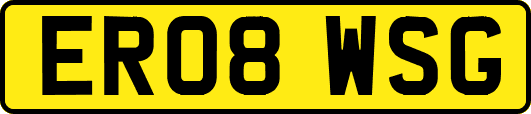 ER08WSG