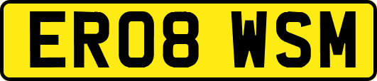 ER08WSM