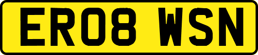 ER08WSN