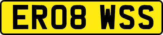 ER08WSS