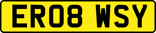 ER08WSY