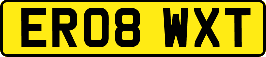 ER08WXT