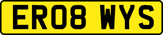 ER08WYS