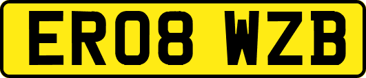ER08WZB