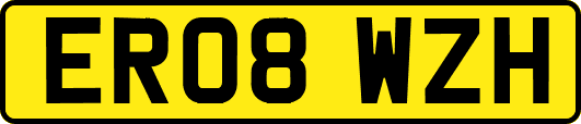 ER08WZH