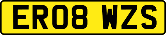 ER08WZS