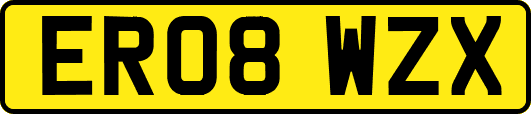 ER08WZX