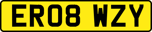 ER08WZY