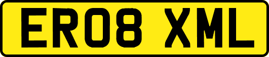 ER08XML