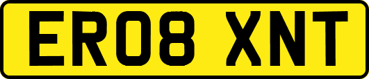 ER08XNT