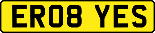 ER08YES