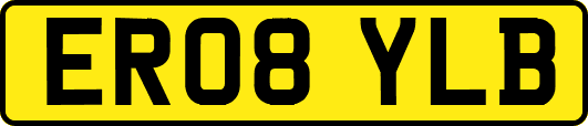 ER08YLB