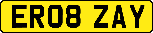 ER08ZAY