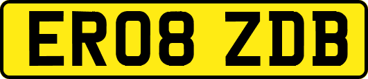 ER08ZDB
