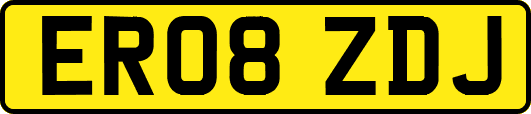 ER08ZDJ