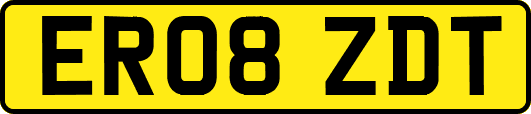 ER08ZDT