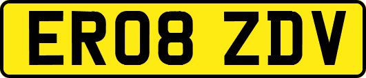 ER08ZDV