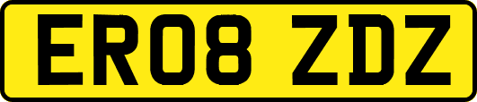 ER08ZDZ