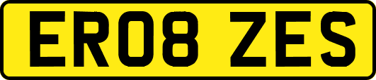 ER08ZES