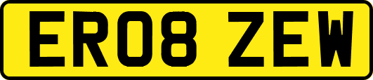 ER08ZEW