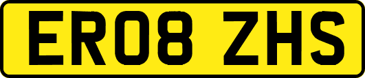 ER08ZHS