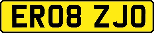ER08ZJO