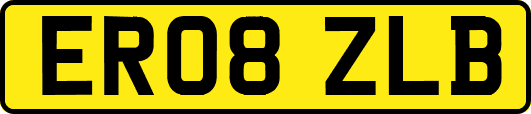 ER08ZLB