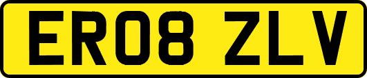 ER08ZLV