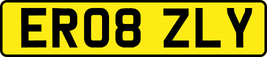 ER08ZLY
