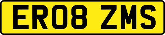 ER08ZMS