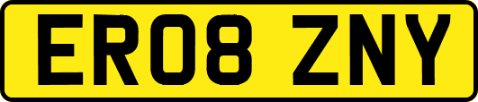 ER08ZNY
