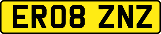 ER08ZNZ