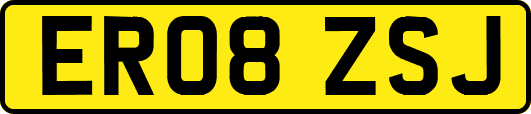 ER08ZSJ