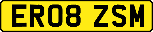 ER08ZSM