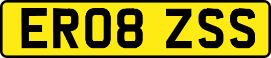 ER08ZSS