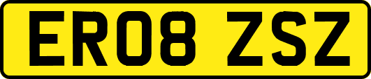 ER08ZSZ