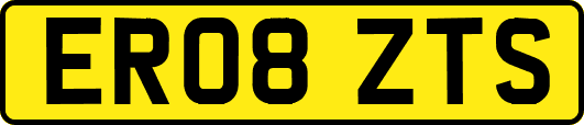 ER08ZTS
