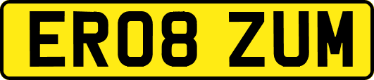 ER08ZUM