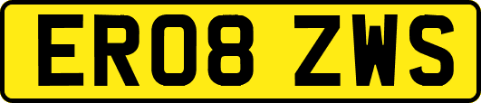 ER08ZWS