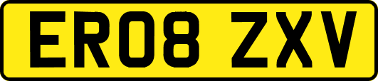 ER08ZXV