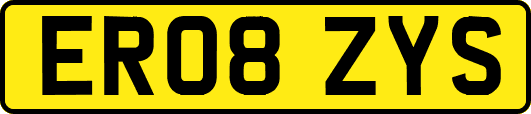 ER08ZYS