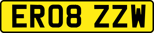ER08ZZW
